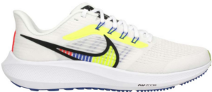 Giay Nike Pegasus 39 'Summit White Blue' DX1627-100