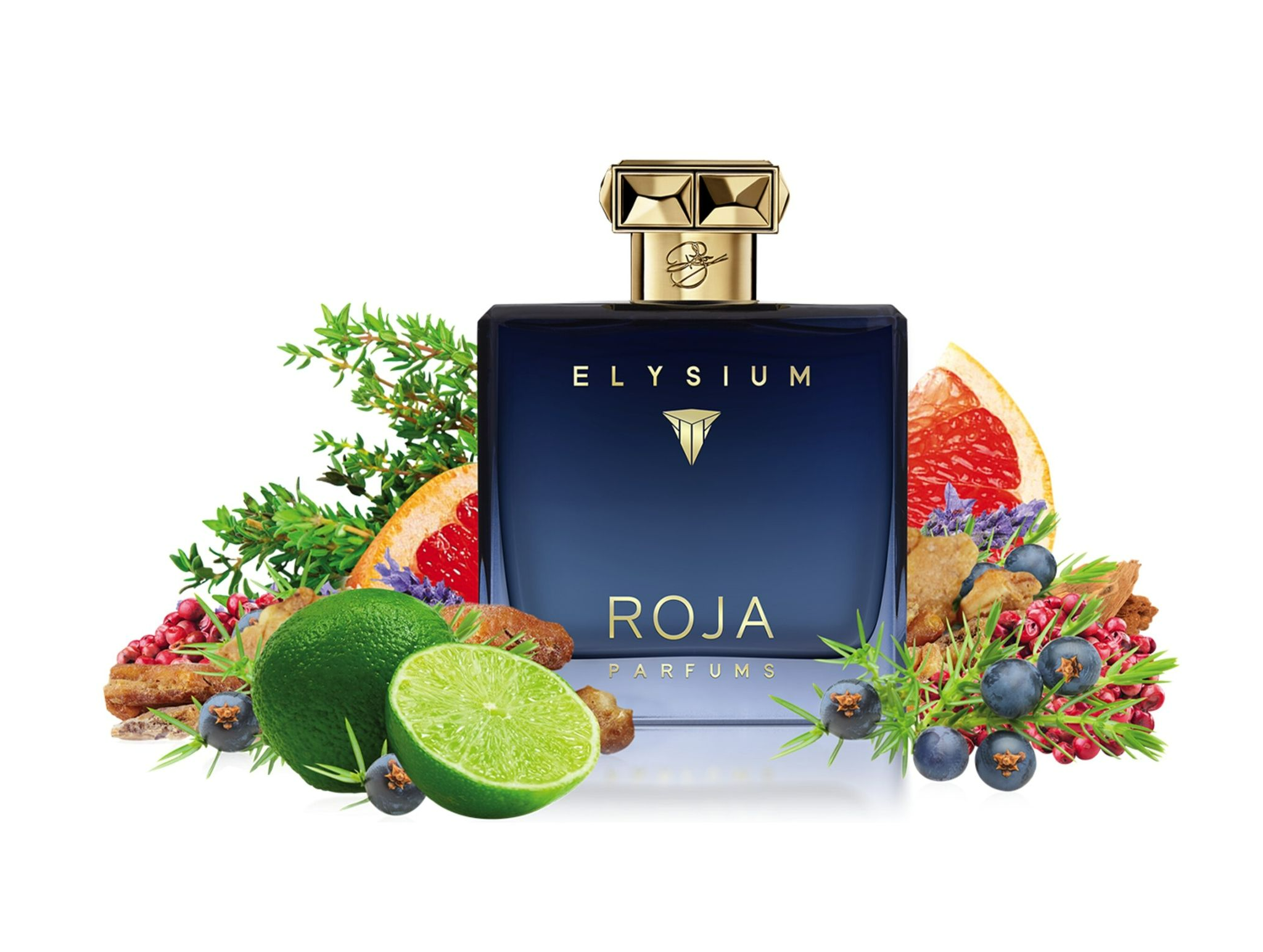 Nước Hoa Roja Parfums Elysium Pour Homme Cologne Parfums - Ảnh 3