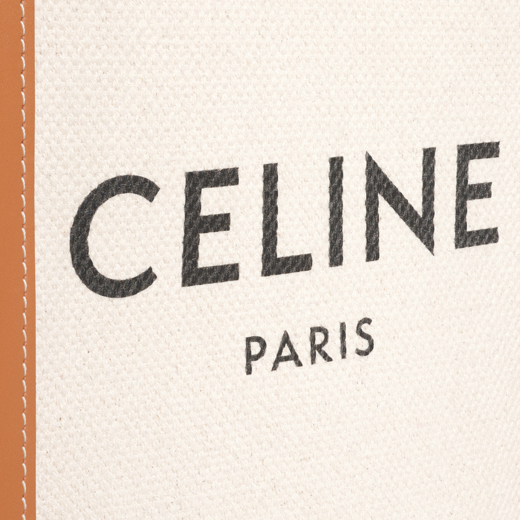 Túi Celine With Celine Print 'Natural Tan' 193302BNZ-02NT - Ảnh 4
