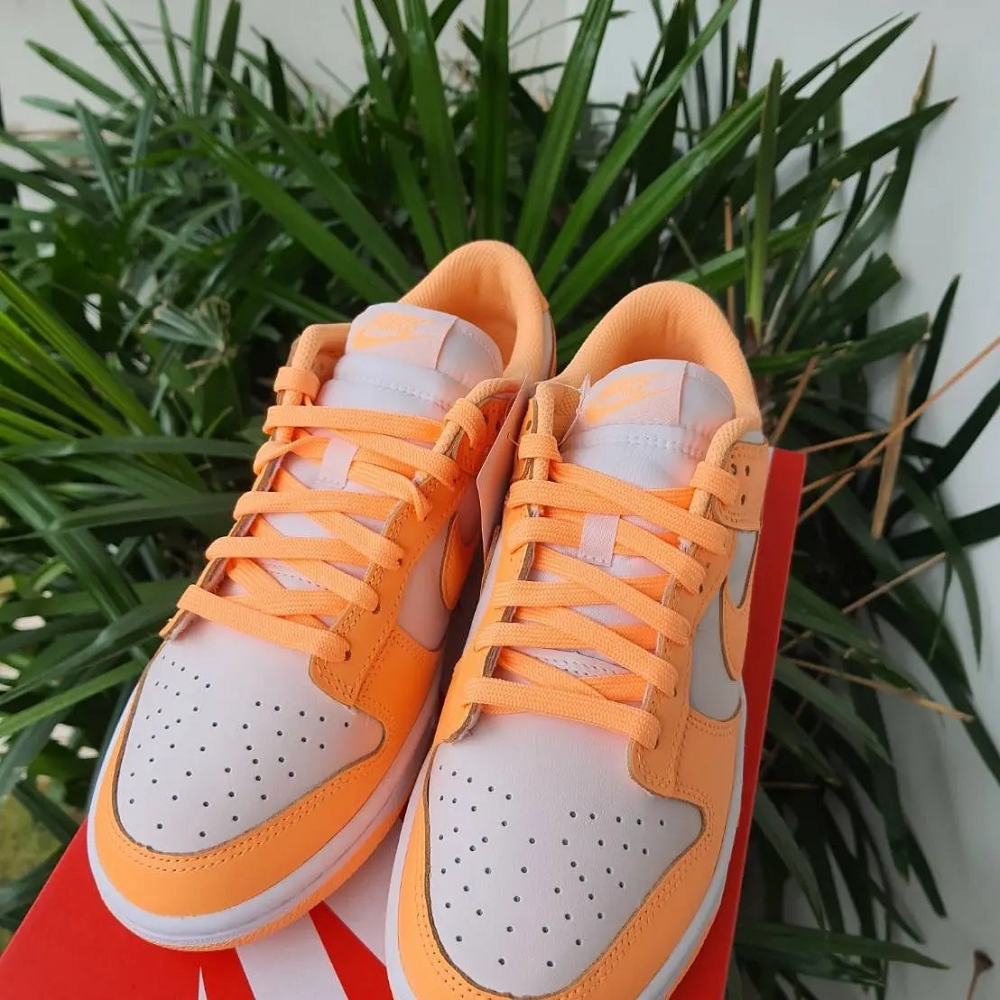 Giày Nike Dunk Low 'Peach Cream' DD1503-801 - Ảnh 5