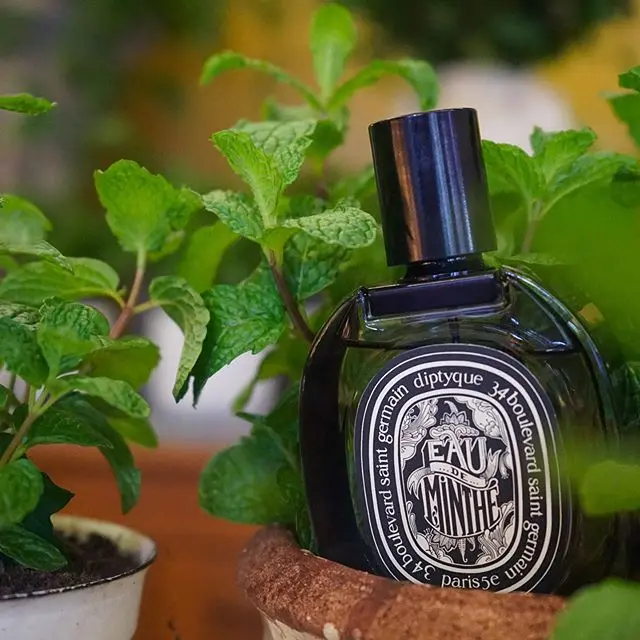 Alternative view of Nước Hoa Diptyque Eau De Minthe EDP