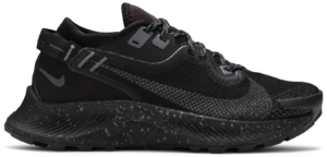 Giày Nike Wmns Pegasus Trail 2 Gore-Tex 'Black Metallic Dark Grey' CU2018-001