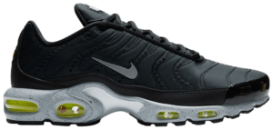 Giày Nike Air Max Plus Premium 'Matte Silver' 815994-003