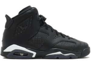 Giày Nike Air Jordan 6 Retro Black Cat 384665-020