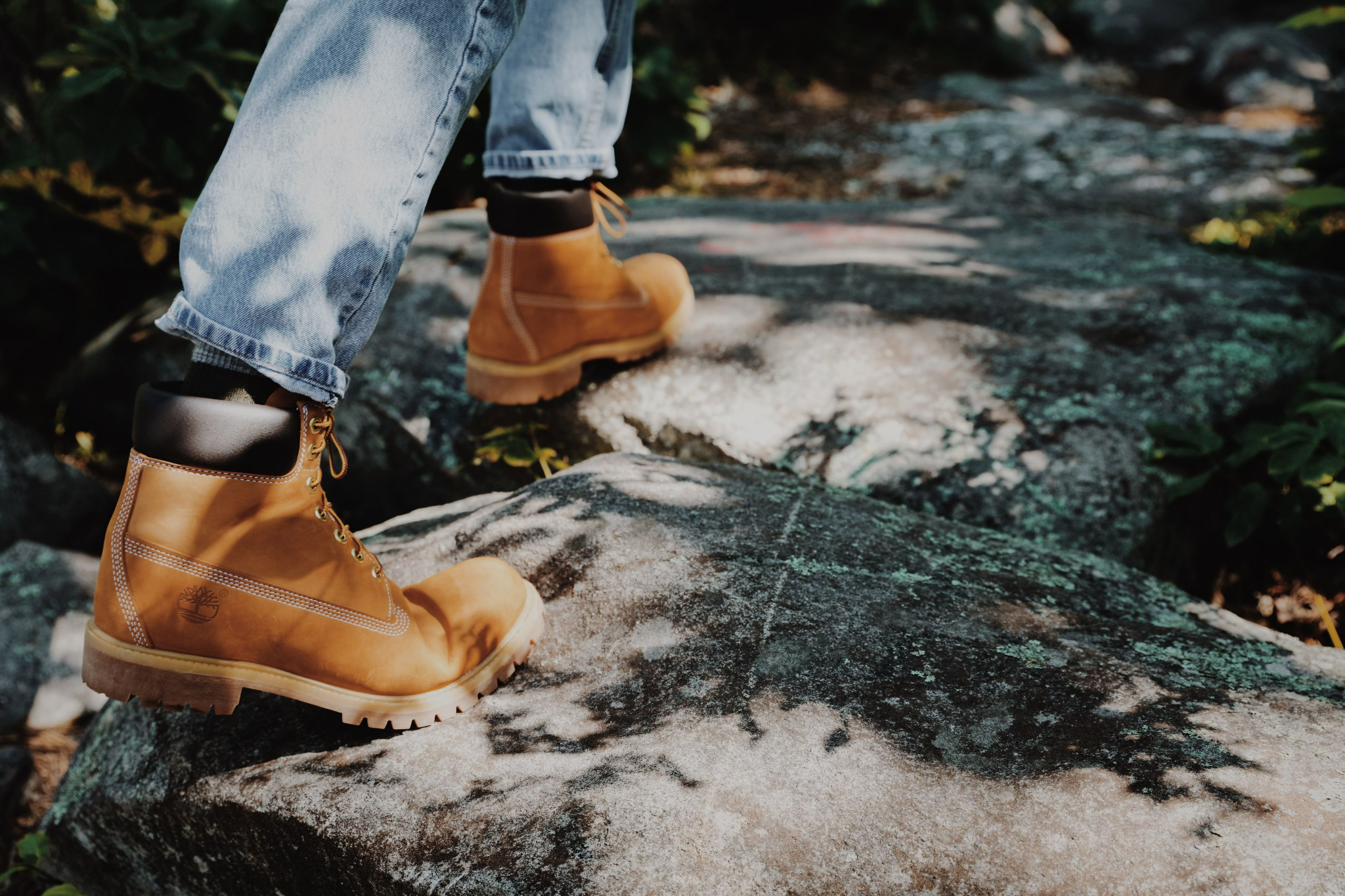 Giày Timberland Premium 6 Inch ' Wheat' TB-010061-713 - Ảnh 4