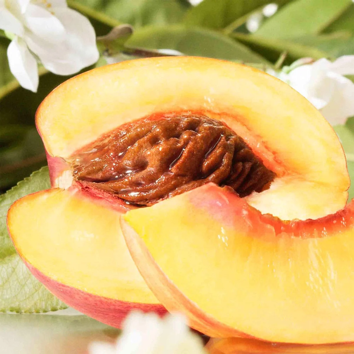 Nước Hoa Jo Malone Nectarine Blossom And Honey EDC - Ảnh 2