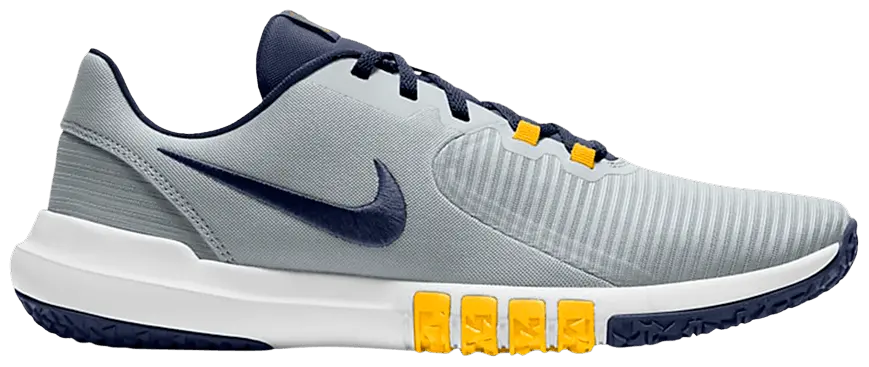 Giày Nike Flex Control 4 'Pure Platinum Navy' CD0197-007