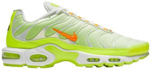 Giày Nike Air Max Plus 'Color Flip' CI5924-531