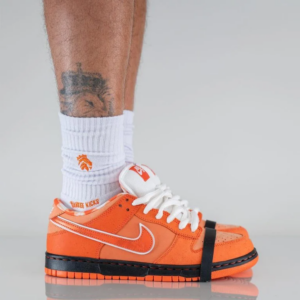 Giay Nike SB Dunk Low 'Concepts Orange Lobster' FD8776-800