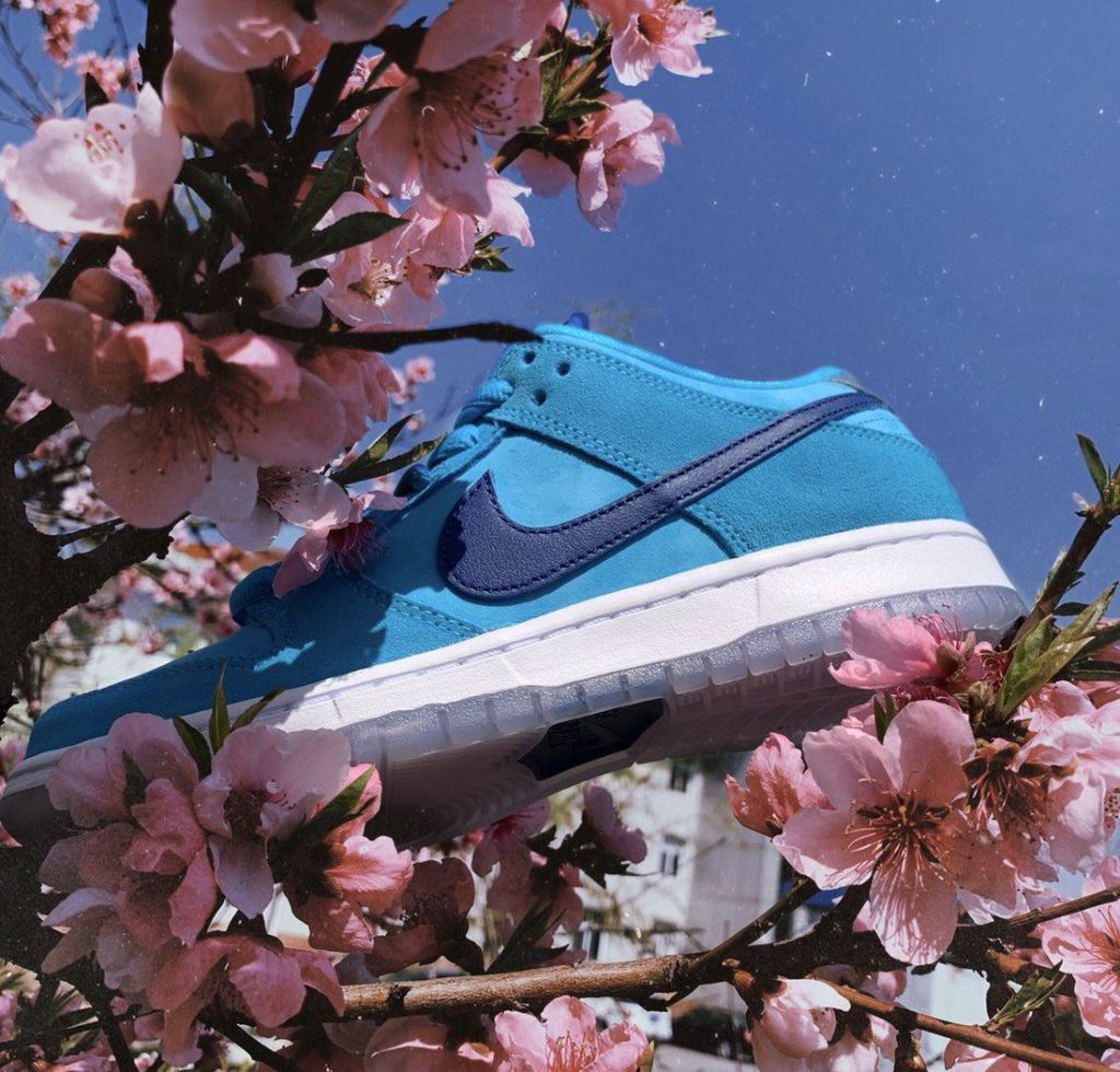 Giày Nike Dunk Low SB 'Blue Fury' BQ6817-400 - Ảnh 4