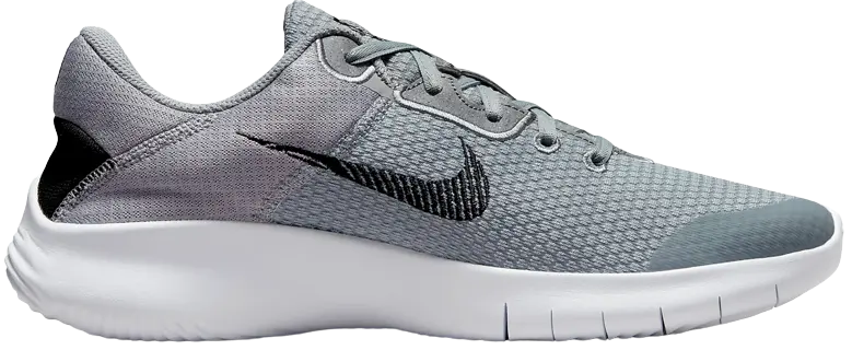 Giay Nike Flex Experience Run 11 Next Nature 'Particle Grey' DD9284-005