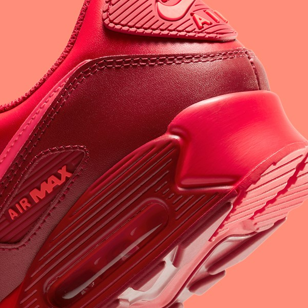 Giày Nike Air Max 90 'City Special Chicago' DH0146-600 - Ảnh 5