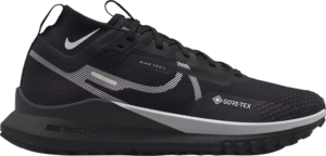 Giay Nike React Pegasus Trail 4 GORE-TEX 'Black Silver' DJ7926-001