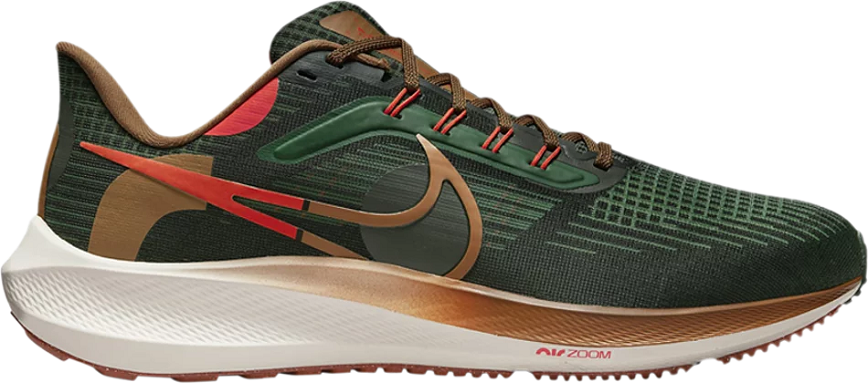 Giay Nike Air Zoom Pegasus 39 'A.I.R. Hola Lou' DO9500-300