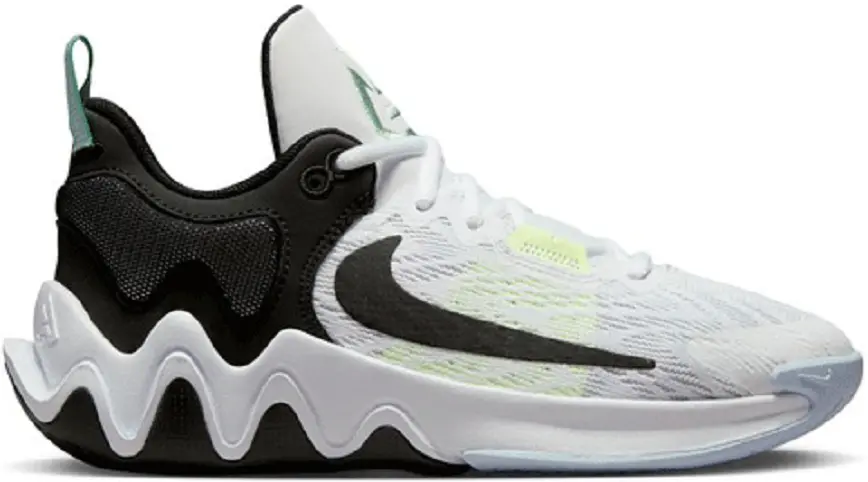 Giày Nike Giannis Immortality 2 'Big Kid’s' DQ1943-101