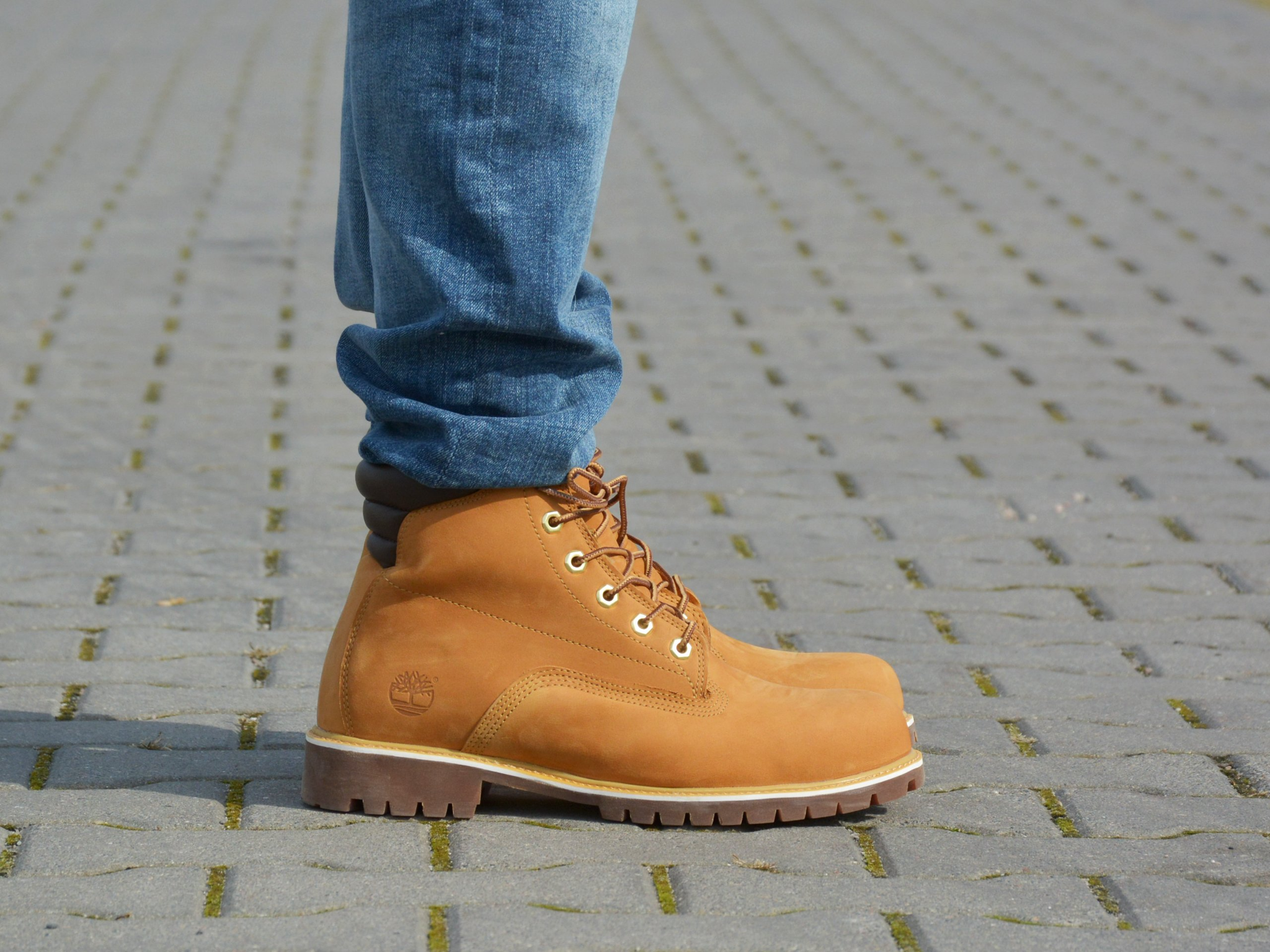 Giày Timberland 6 In Basic Boot 37578 - Ảnh 2
