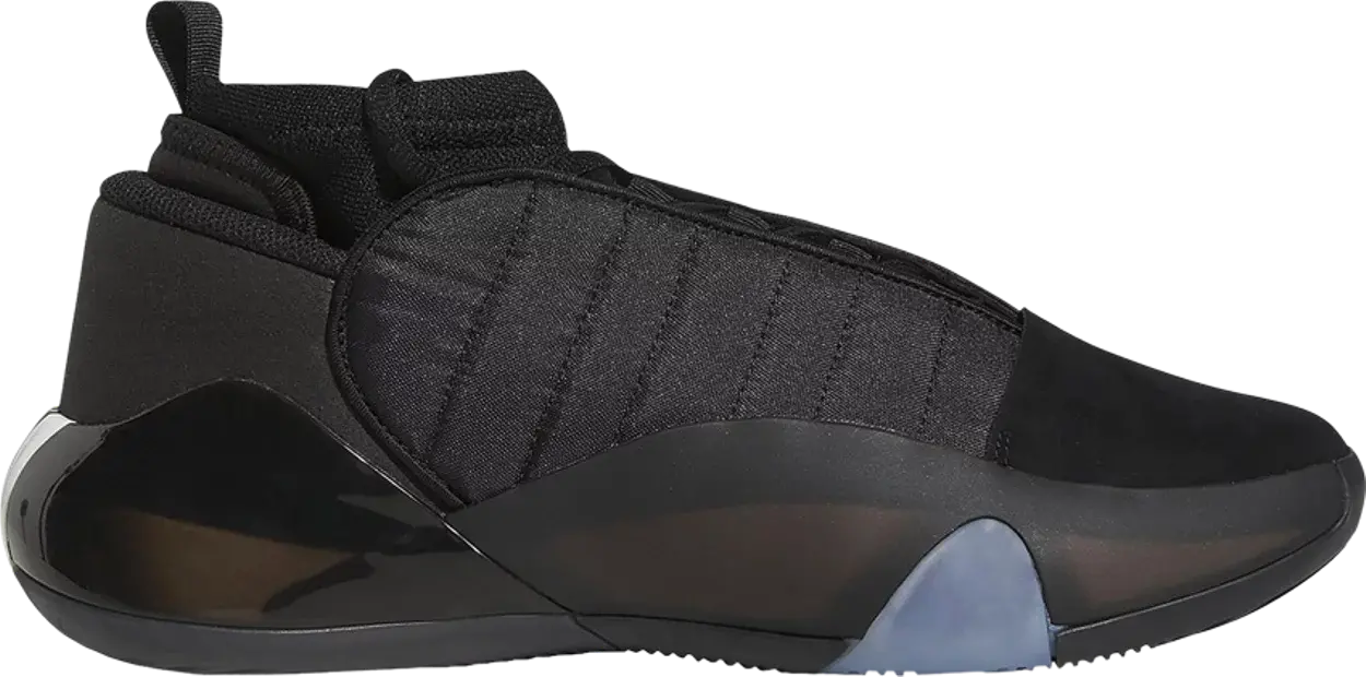 Giay Adidas Harden Vol 7 'Core Black' HP3021