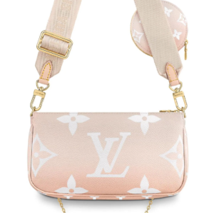 Túi Louis Vuitton Multi Pochette Accessoires M57634