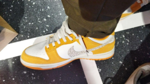 Giay Nike Dunk Low 'Safari Swoosh Kumquat' DR0156-800