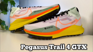 Giay Nike React Pegasus Trail 4 GORE-TEX 'Total Orange' DJ7926-500