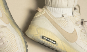 Alternative view of Giày Nike Wmns Air Max 90 Terrascape 'Light Bone' DC9450-001