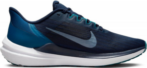 Giay Nike Air Winflo 9 'Obsidian Valerian Blue' DD6203-401