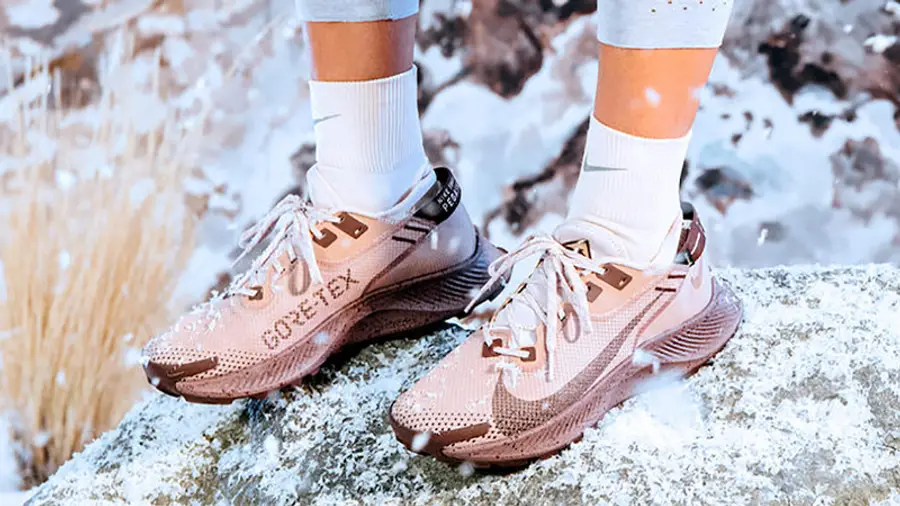 Giày Nike Wmns Pegasus Trail 2 Gore-Tex 'Desert Dust Mauve' CU2018-200 - Ảnh 2