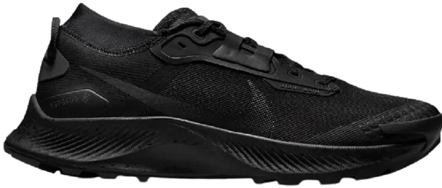 Giày Nike Pegasus Trail 3 GTX 'Triple Black' DC8793-001