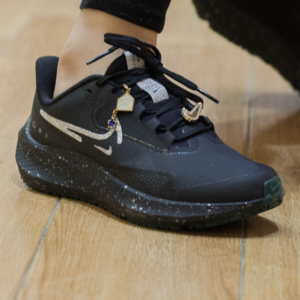 Giay Nike Wmns Air Zoom Pegasus 39 Shield 'Bling' FB1862-001