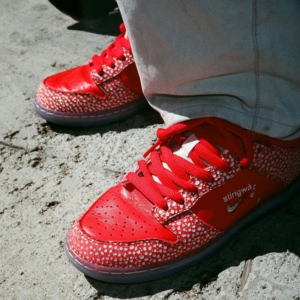 Alternative view of Giày Nike Stingwater x Dunk Low SB 'Magic Mushroom' DH7650-600