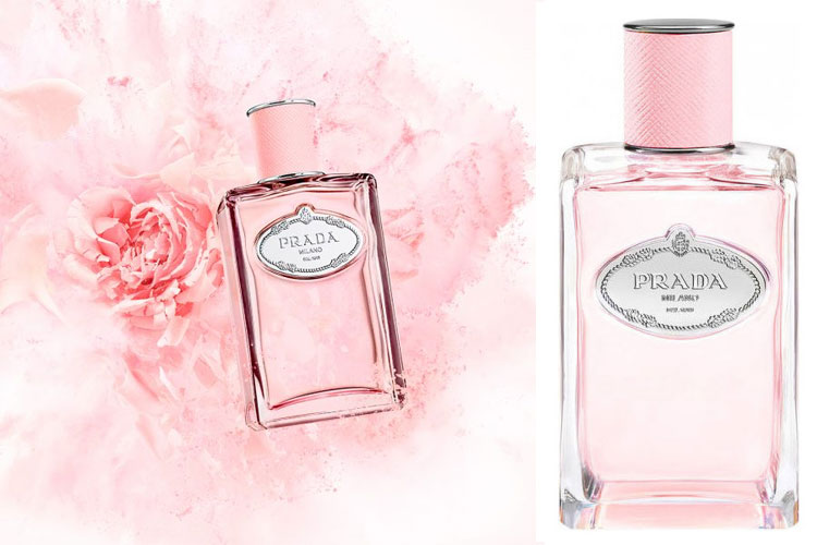 Nước Hoa Prada Les Infusions De Rose Ea EDP - Ảnh 2