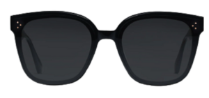 Kính Gentle Monster Rick 01