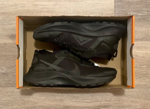 Giay Nike Pegasus Trail 3 Gore-Tex 'Triple Black' DC8794-001