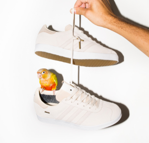 Alternative view of Giày Adidas Saint Alfred x Gazelle Gore-Tex 'Chalk White' BB0894