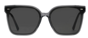 Kính Gentle Monster Sal G1