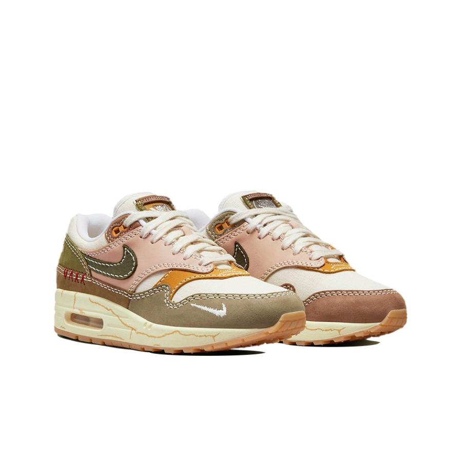 Giay Nike Air Max 1 Premium 'Wabi Sabi' DQ8656-133