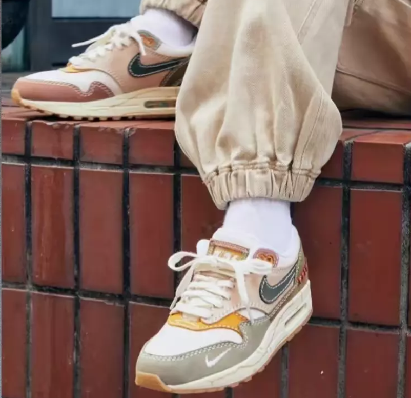Giay Nike Air Max 1 Premium 'Wabi Sabi' DQ8656-133