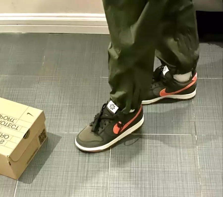 Giày Nike Dunk Low GS 'Toasty Sequoia' DC9561-300 - Ảnh 3