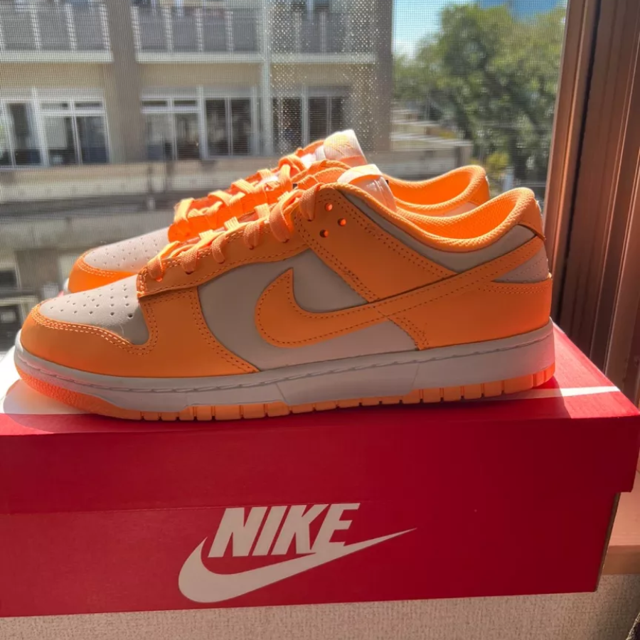 Giày Nike Dunk Low 'Peach Cream' DD1503-801 - Ảnh 2