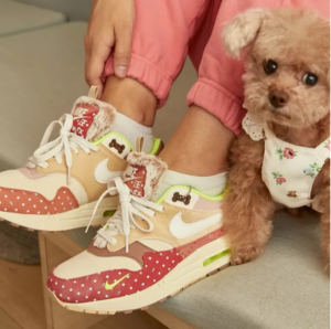 Giay Nike Air Max 1 PRM 'Woman's Best Friend' DR2553-111