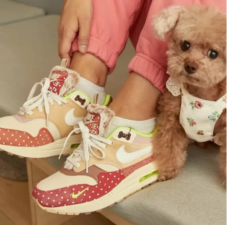 Giay Nike Air Max 1 PRM 'Woman's Best Friend' DR2553-111