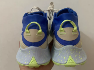 Giay Nike Pegasus Trail 3 Gore Tex 'Blue' DC8794-400