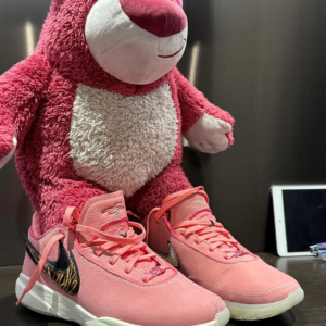 Giay Nike LeBron 20 'South Beast' DQ3827-900