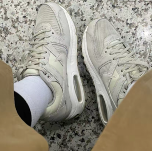 Giay Nike Air Max Command 'Grey' 397690-018