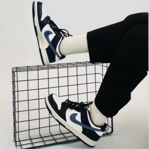 Giay Nike Dunk Low Next Nature GS 'TPU Swoosh' FD0689-001