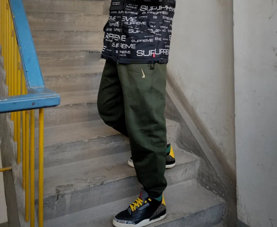 Giày Nike Air Jordan 3 Retro SE Animal Instinct 2.0 CV3583-003 - Ảnh 13