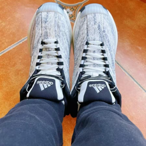 Giay Adidas Crazy 1 'Snakeskin' GY2405