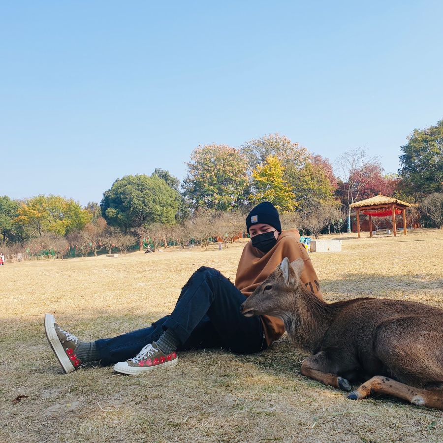 Giày Converse x Play Comme des Garcons Chuck 70 Ox Multi Heart Green 162976C - Ảnh 4