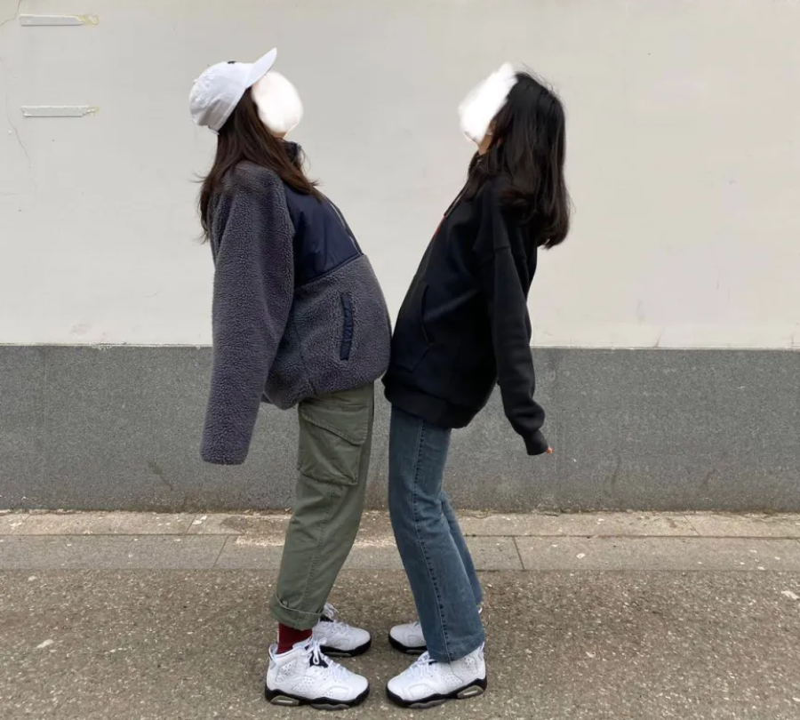 Giày Nike Air Jordan 6 Retro BG 'Alligator' 384665-110 - Ảnh 4