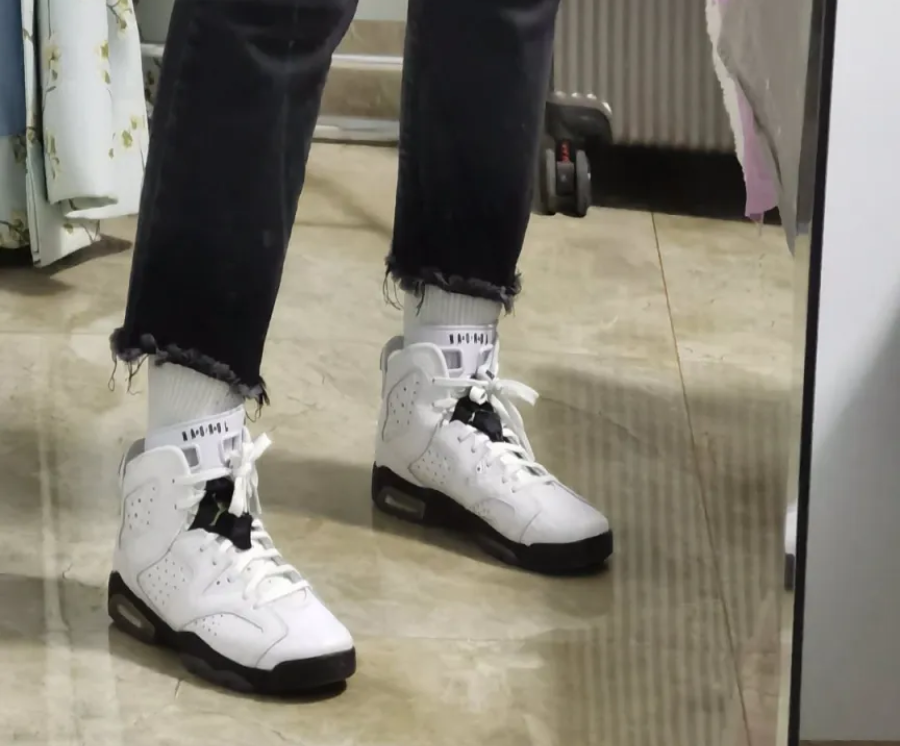 Giày Nike Air Jordan 6 Retro BG 'Alligator' 384665-110 - Ảnh 3